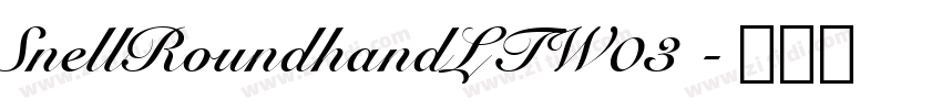 SnellRoundhandLTW03 字体转换